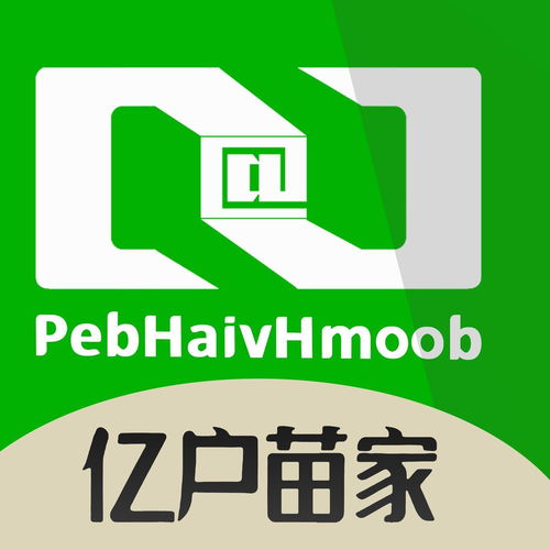 云南億戶苗家信息技術有限公司 深耕經濟信息咨詢，助力區域發展
